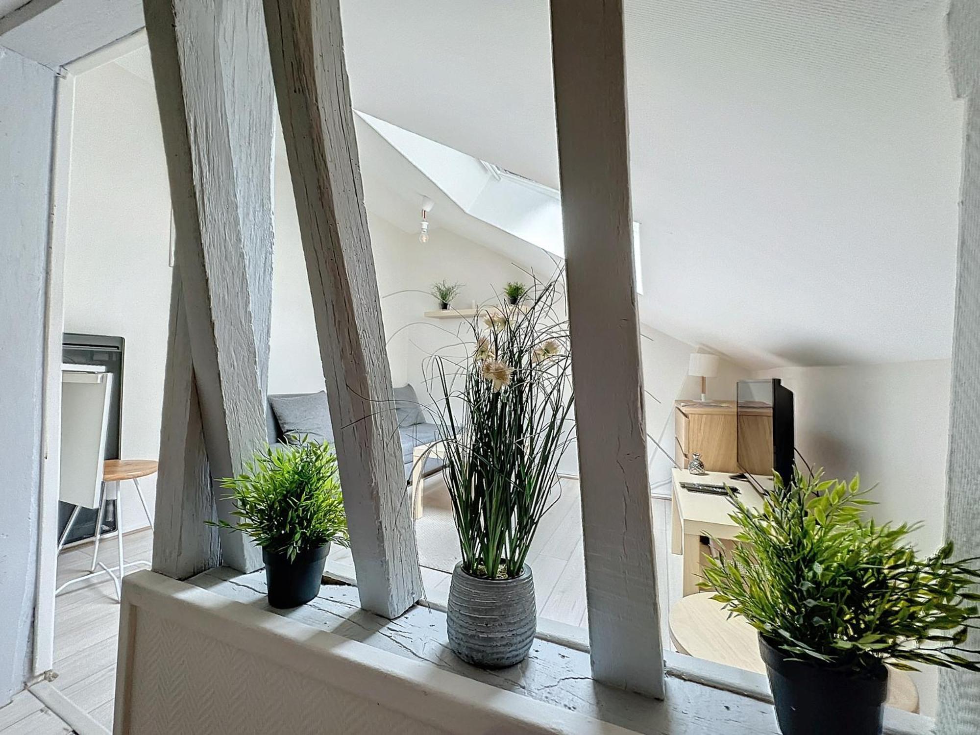 Le Nid De Reims Apartment Exterior foto
